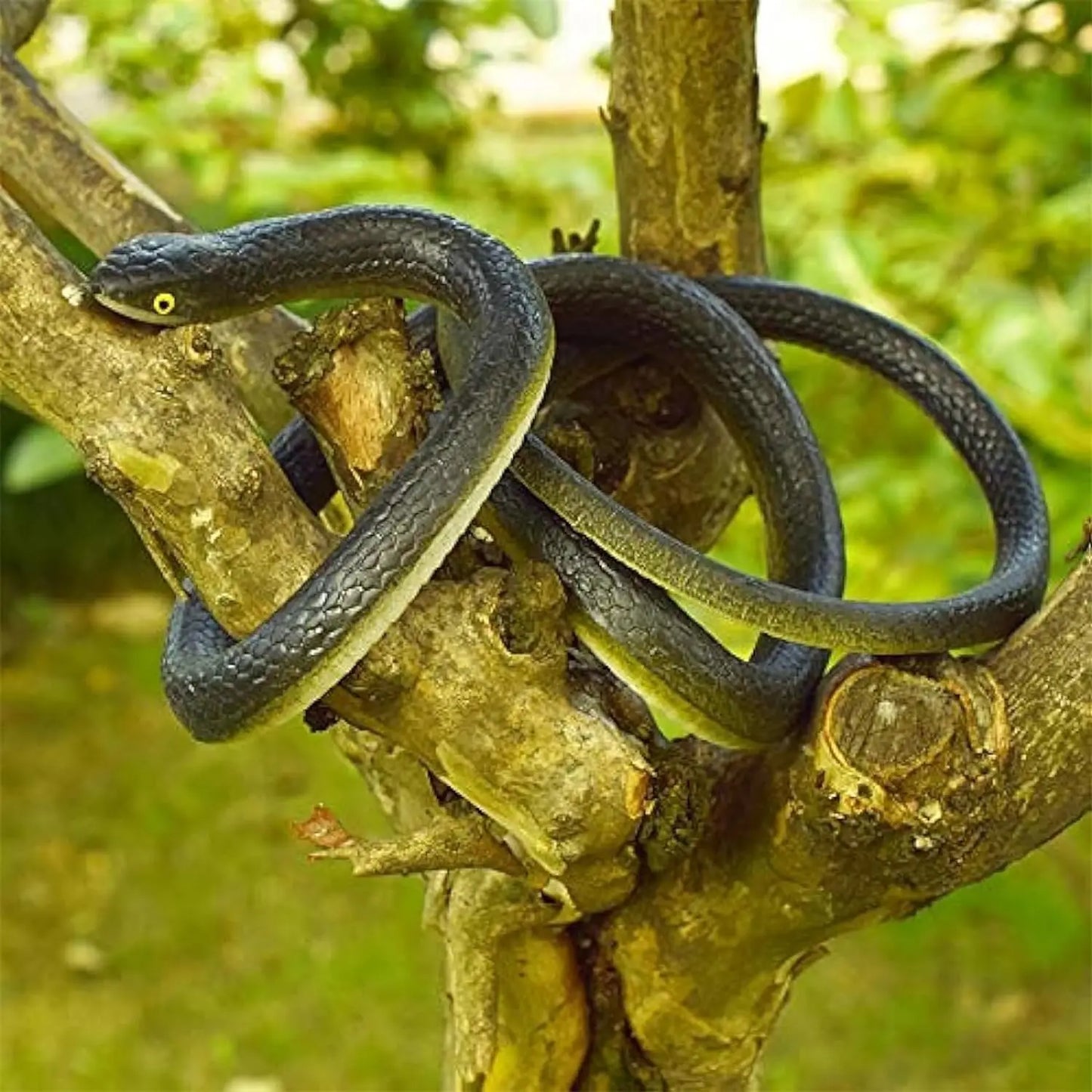 Snake Prank With String Clip Funny Large Realistic Rubber Snake Prank With String And Clip Rubber Fake Snake Model Fashion