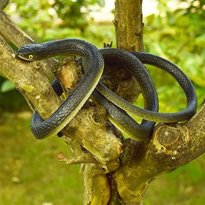 Snake Prank With String Clip Funny Large Realistic Rubber Snake Prank With String And Clip Rubber Fake Snake Model Fashion